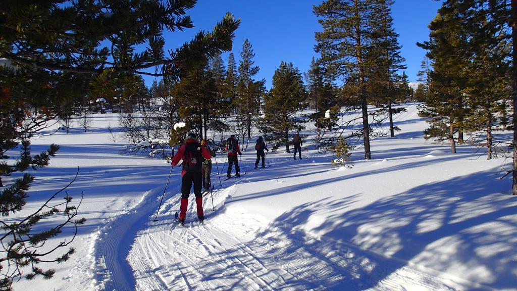 Rondane Friluftssenter Rondetunet Brenn ภายนอก รูปภาพ